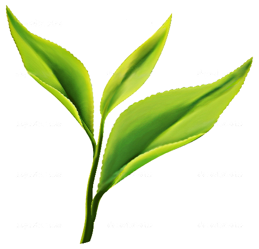 pngwing.com (1)